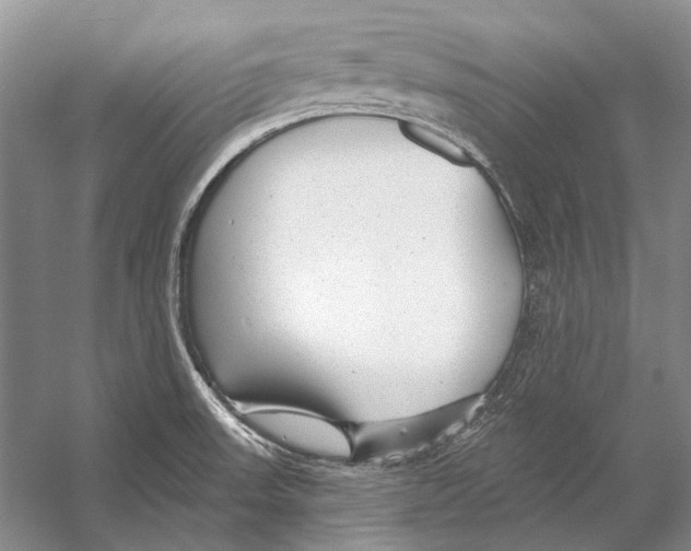 X0000053121523200508081238