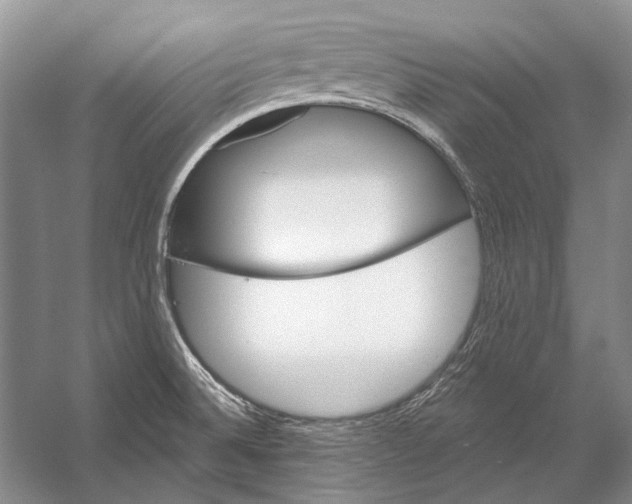 X0000053121524200508081238