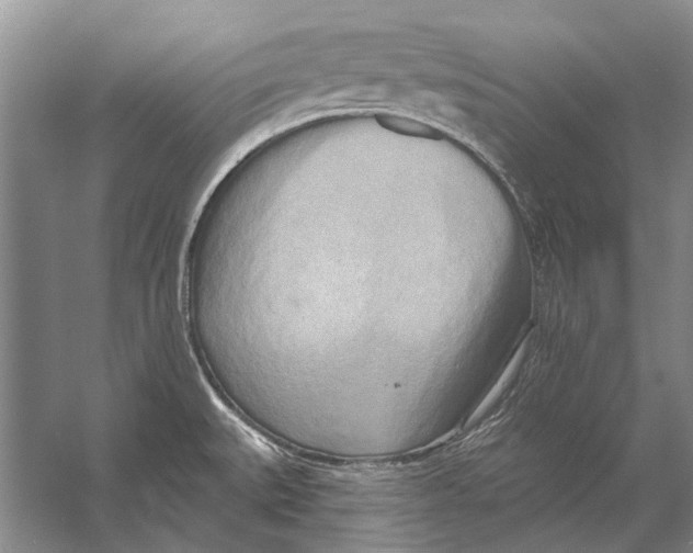 X0000053121527200508081238