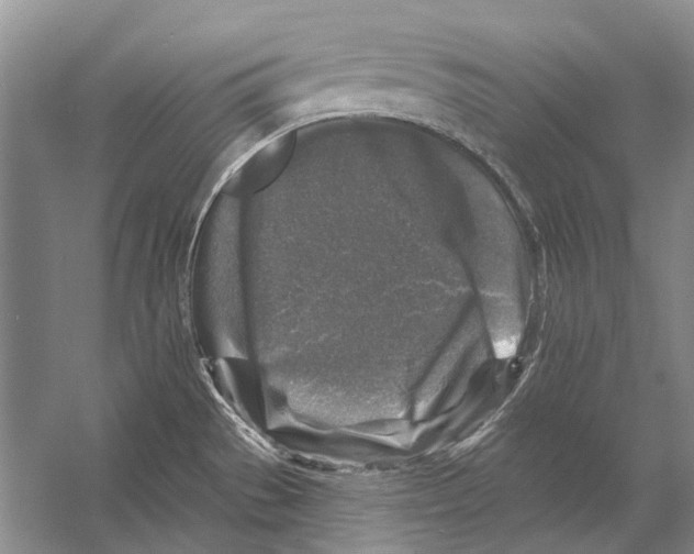 X0000053121529200508081238