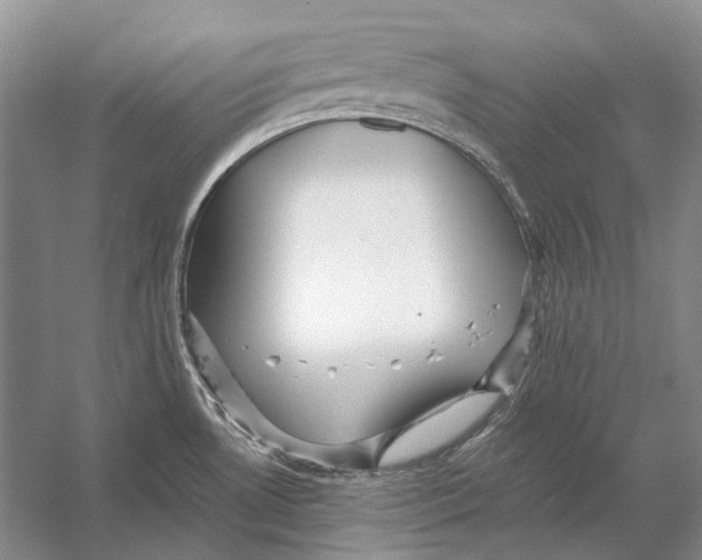 X0000053121530200508081238