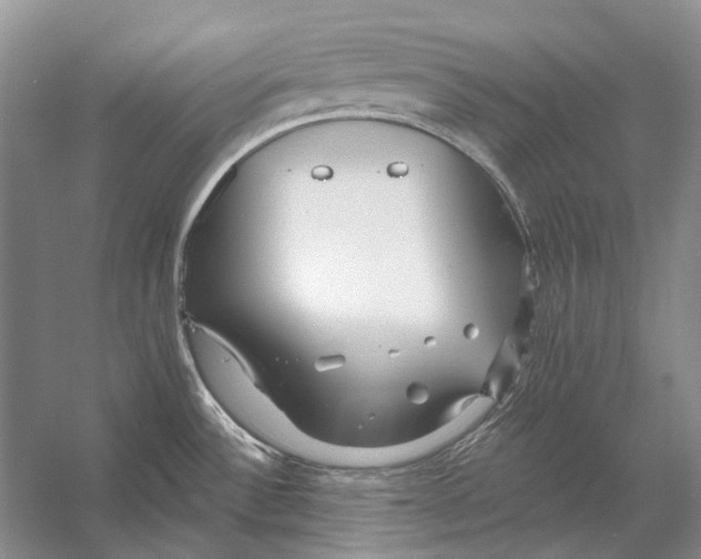 X0000053121532200508081238