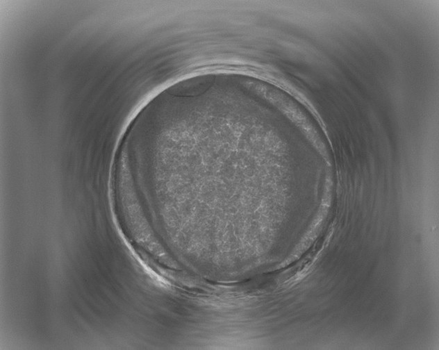 X0000053121533200508081238