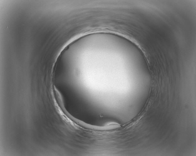 X0000053121534200508081238