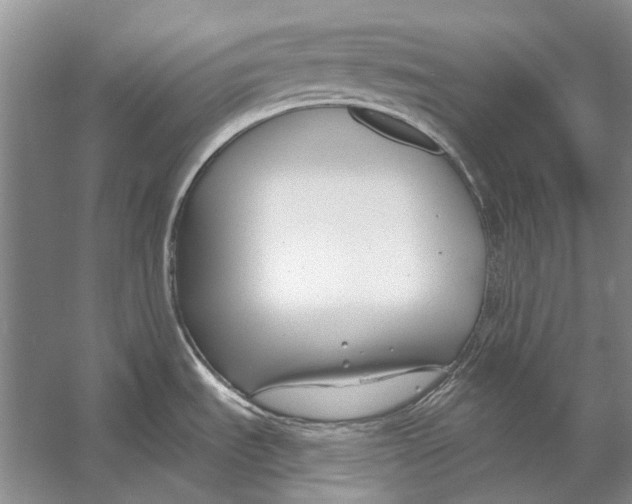 X0000053121535200508081238