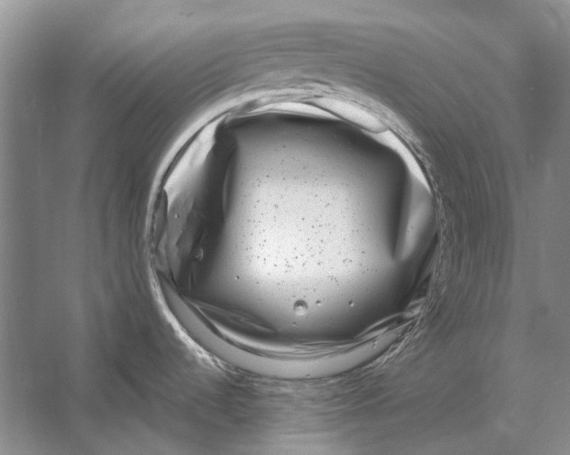 X0000053121536200508081238