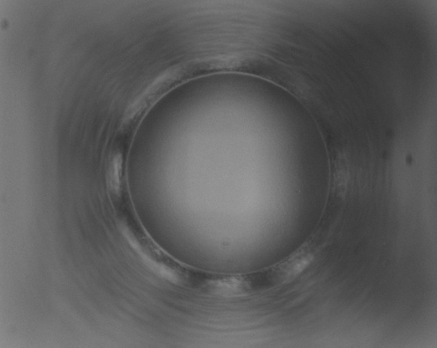 X0000053130118200507181914