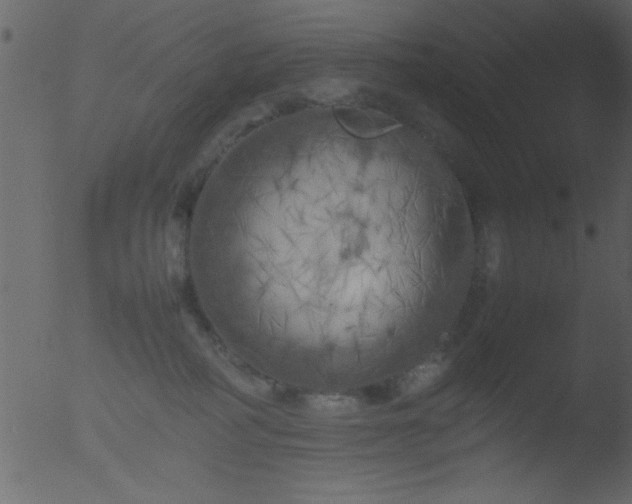 X0000053130234200507181912