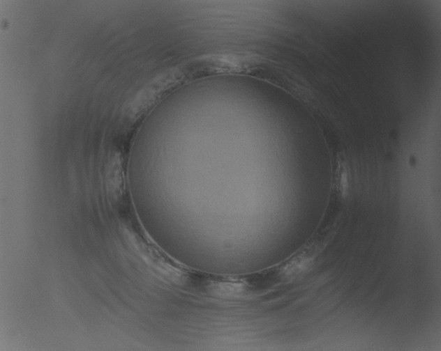 X0000053130318200507181911