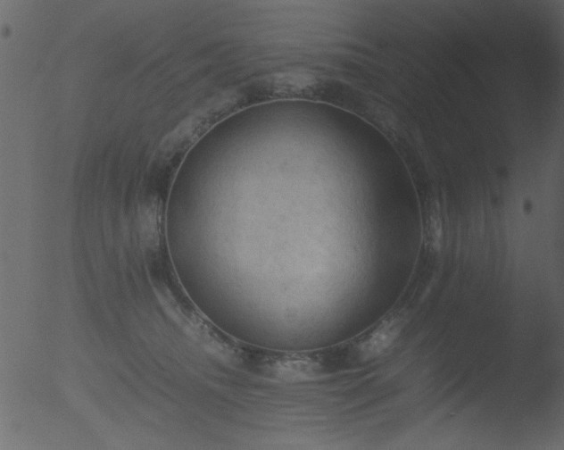 X0000053130468200507181908