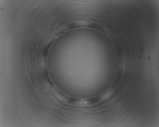 X0000053130518200507181907