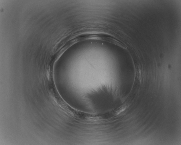 X0000053130556200507181907