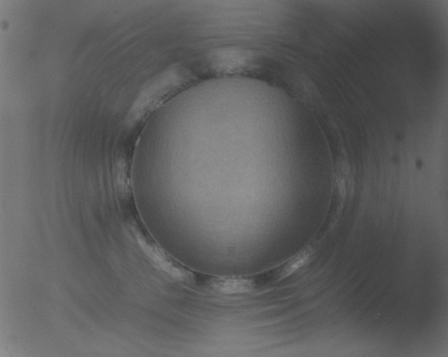 X0000053130670200507181905