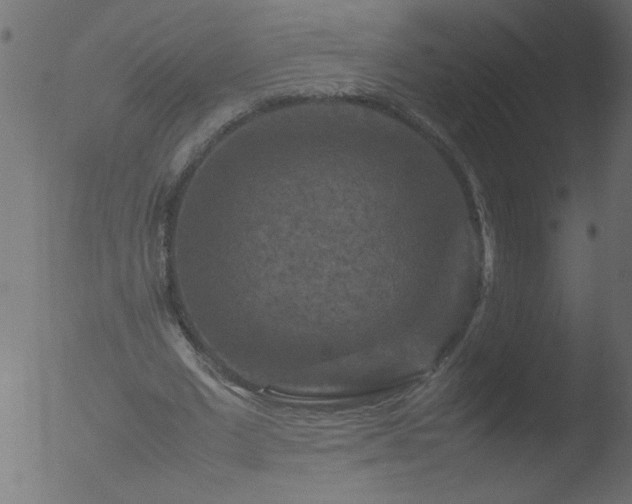 X0000053130677200507181904