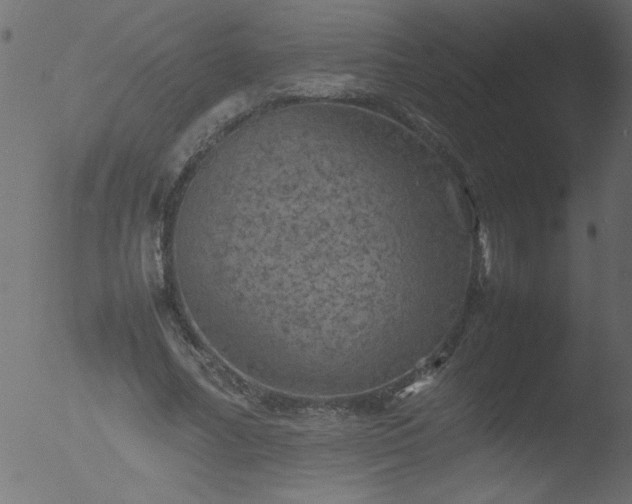 X0000053130682200507181904