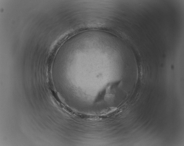 X0000053130684200507181904