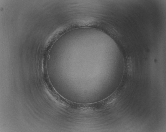 X0000053130686200507181904