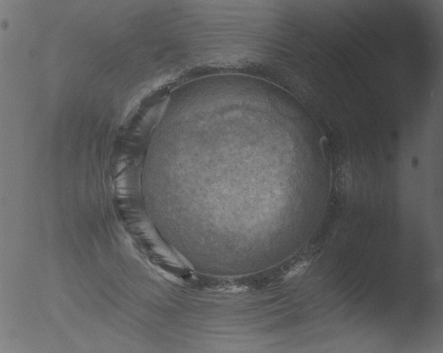 X0000053130688200507181904