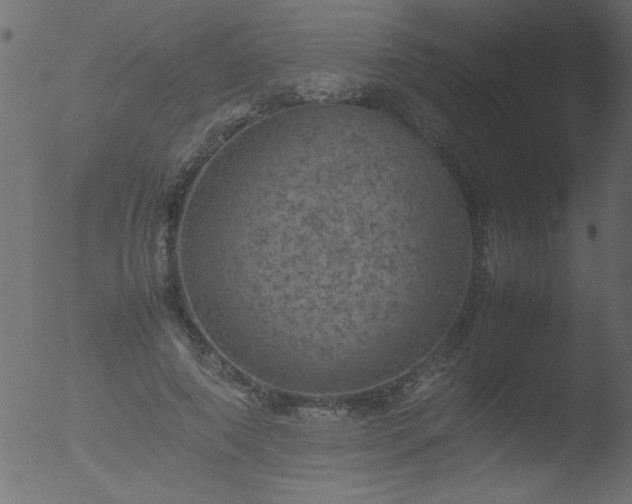 X0000053130690200507181904