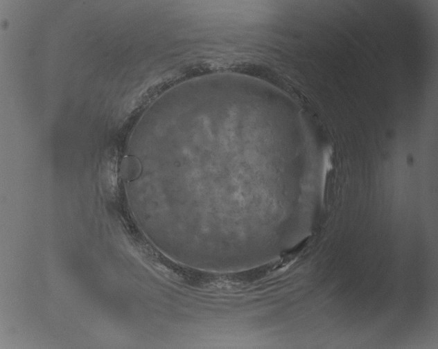 X0000053130691200507181904