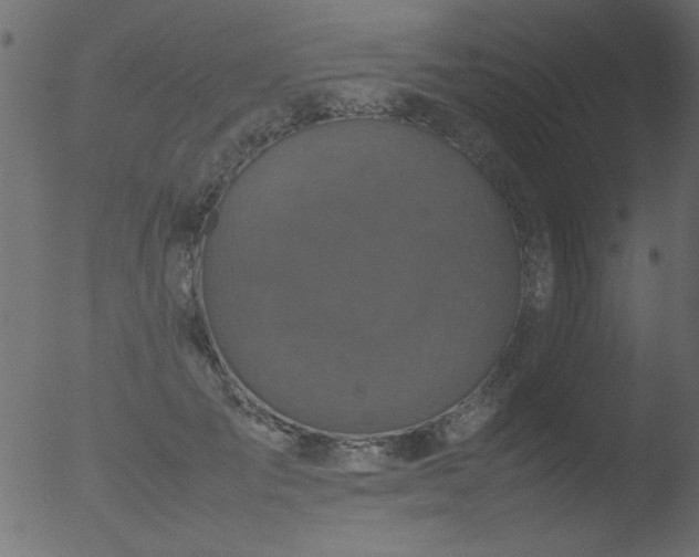 X0000053130701200507181904