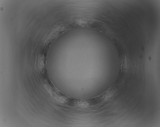 X0000053130702200507181904