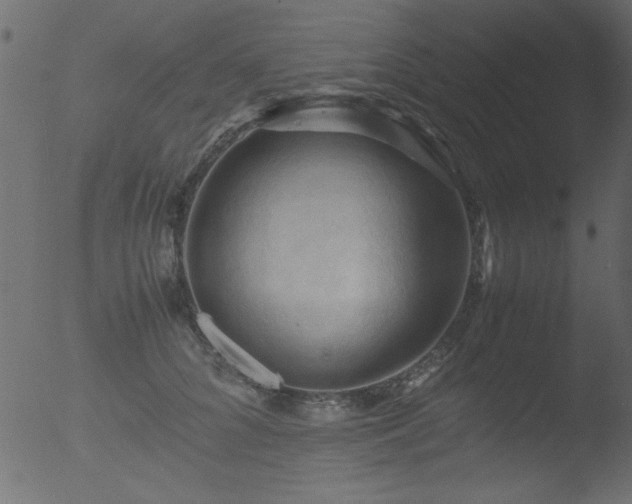 X0000053130704200507181904