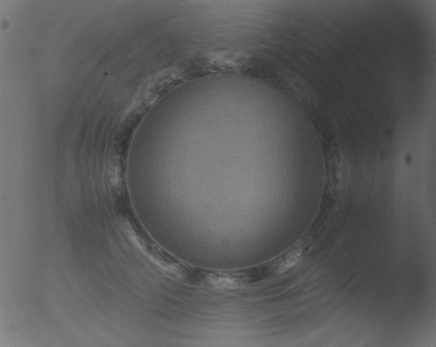 X0000053130706200507181904