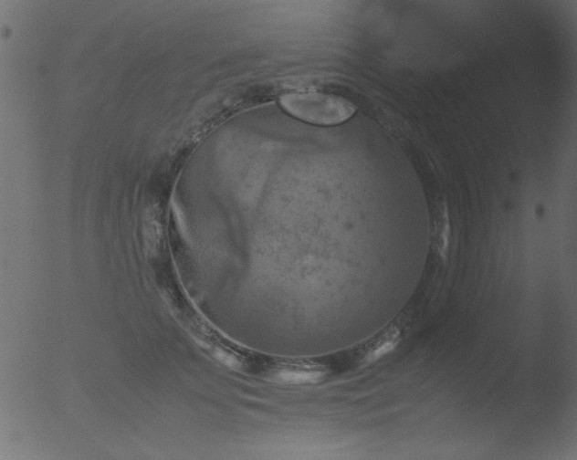 X0000053130707200507181904