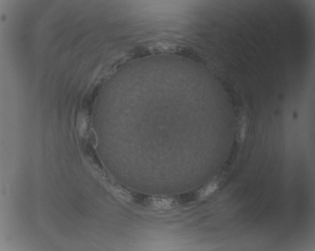 X0000053130709200507181904