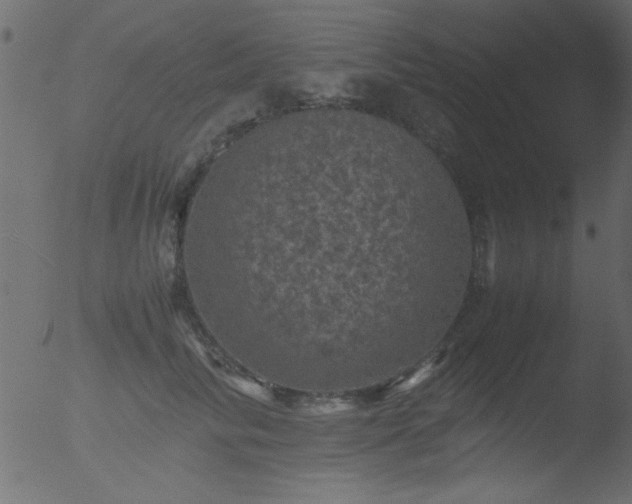 X0000053130710200507181904