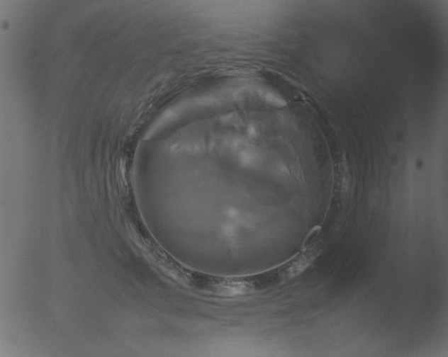 X0000053130711200507181904