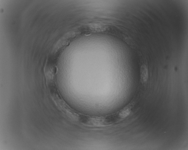 X0000053130713200507181904