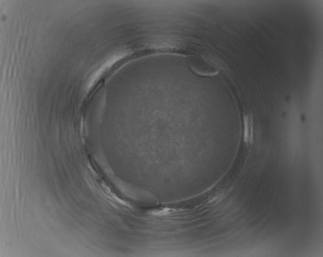 X0000053130723200507181903