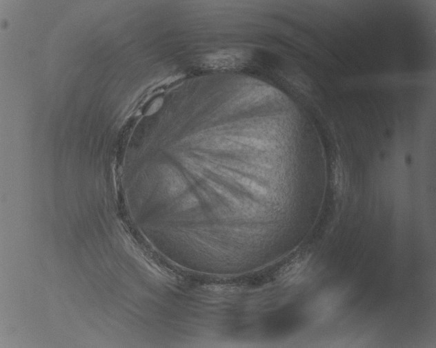 X0000053130733200507181903