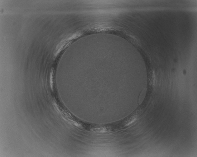 X0000053130740200507181903