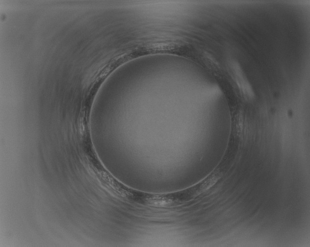 X0000053130746200507181903