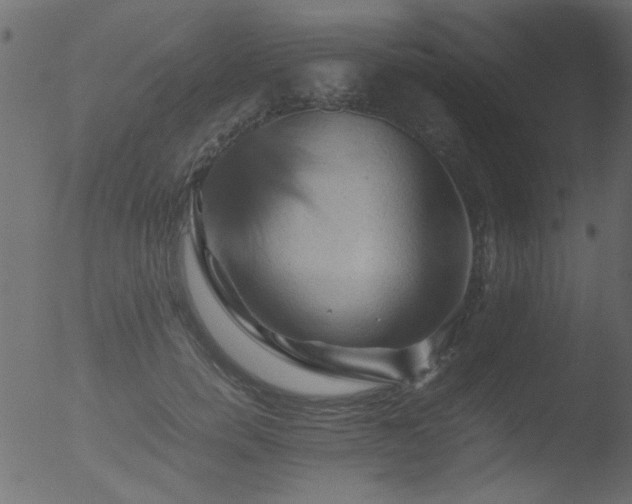 X0000053130750200507181903