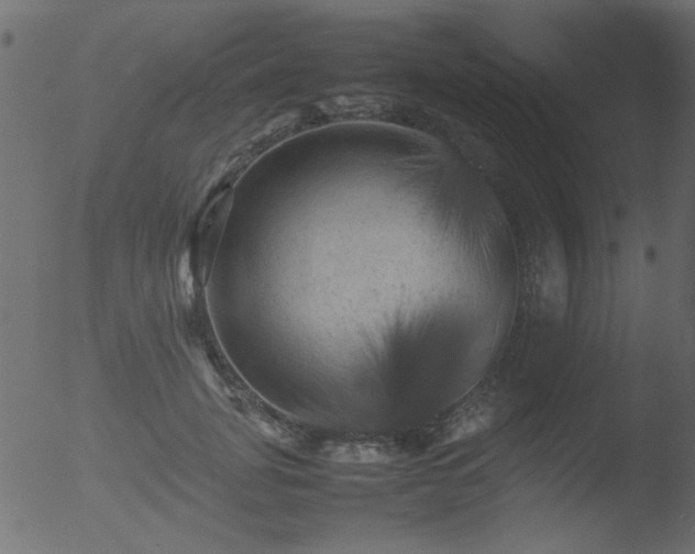 X0000053130751200507181903