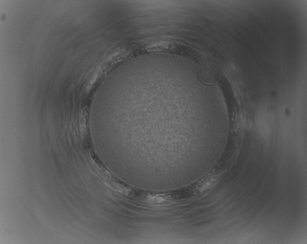 X0000053130753200507181903