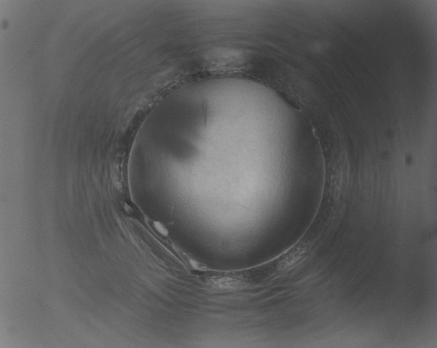 X0000053130755200507181903