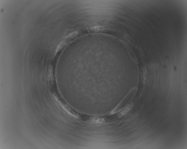 X0000053130760200507181904