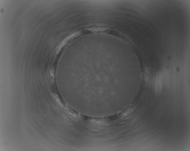 X0000053130763200507181904