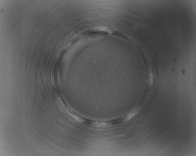 X0000053130766200507181904