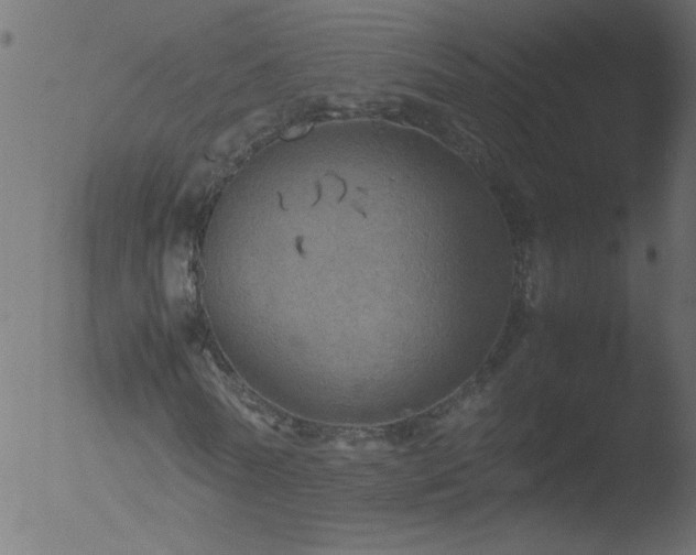 X0000053130770200507181903