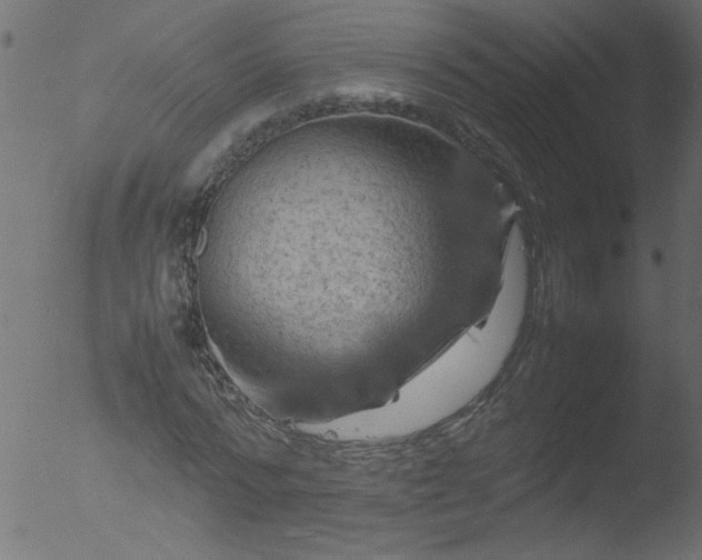 X0000053130776200507181903