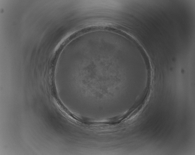 X0000053130783200507181903