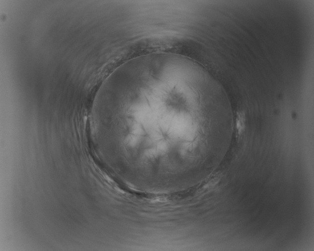 X0000053130867200507181901