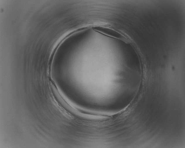 X0000053130948200507181900