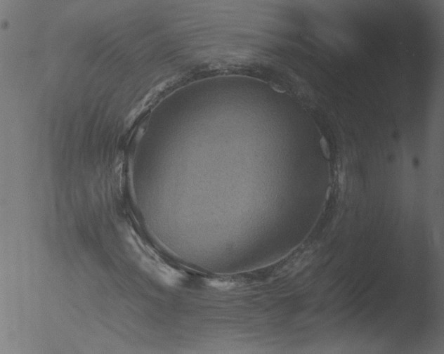 X0000053131012200507181858